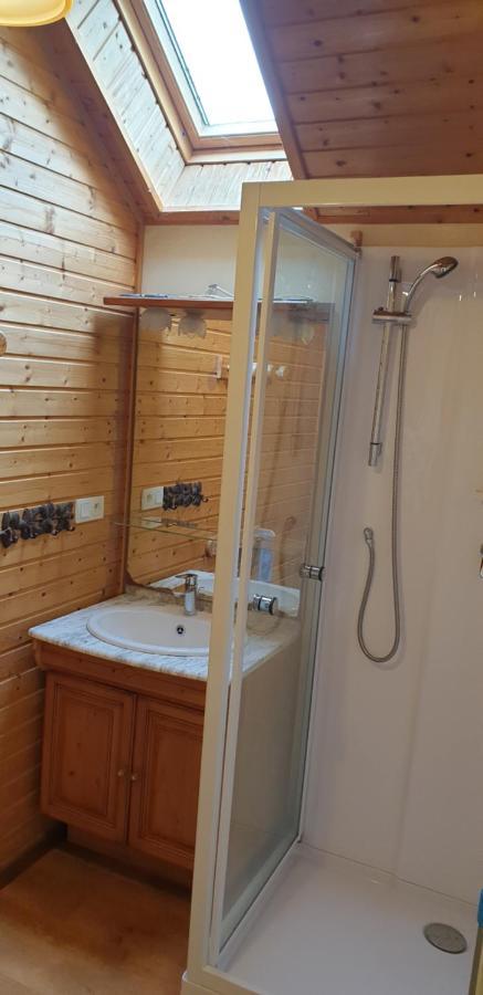 Les Silenes Chalet Doucier